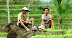 Read more about the article NU: Dari Kutukan Tambang ke Swasembada Rokok