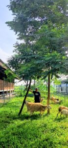 Sugiarto, alumni S3 Community Development, University of the Philippines Los Baños.