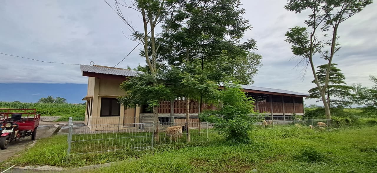 You are currently viewing Mini Ranch Domba di Experimental Farm Fakultas Peternakan Unsoed