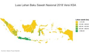 Read more about the article 6 Pelajaran Penting untuk Membangun Kedaulatan Petani Padi