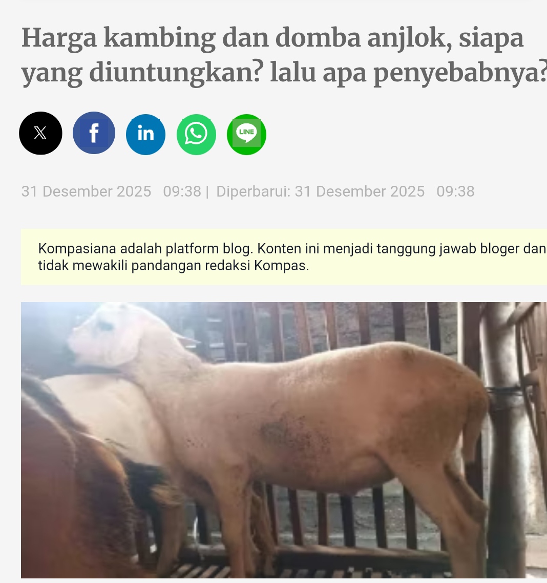 You are currently viewing Pelaksanaan DAM Haji di Daerah Asal Jama’ah Haji Muhammadiyah